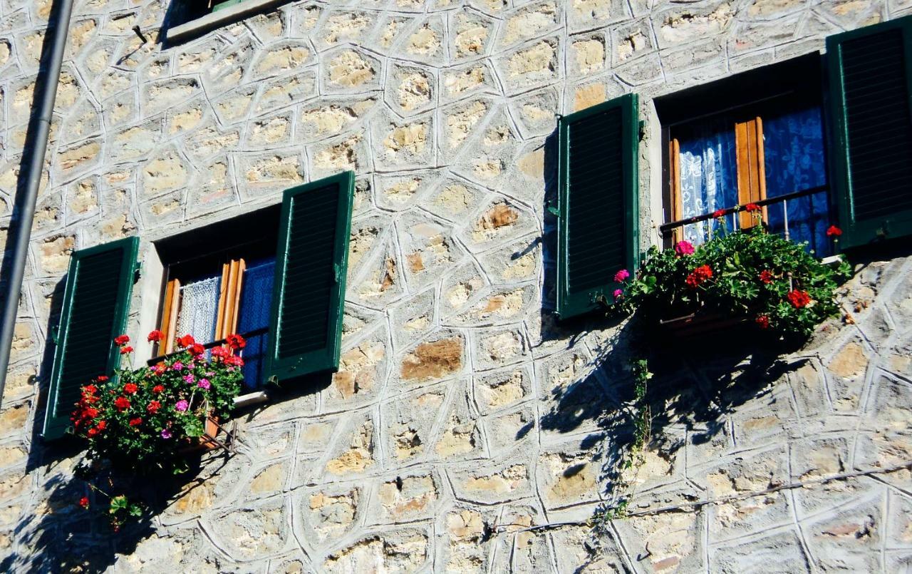 Andante Appartamenti Castelnuovo di Val di Cecina Exteriör bild