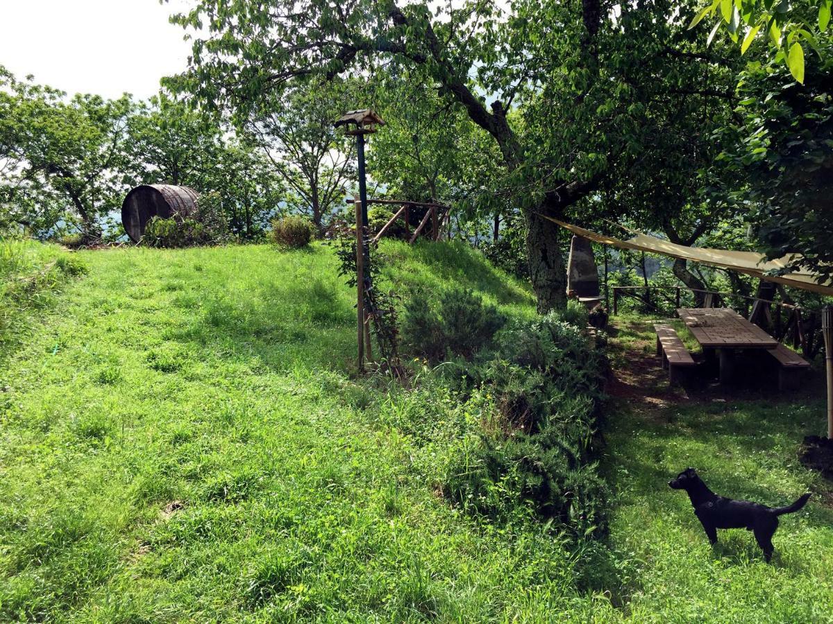 Andante Appartamenti Castelnuovo di Val di Cecina Exteriör bild