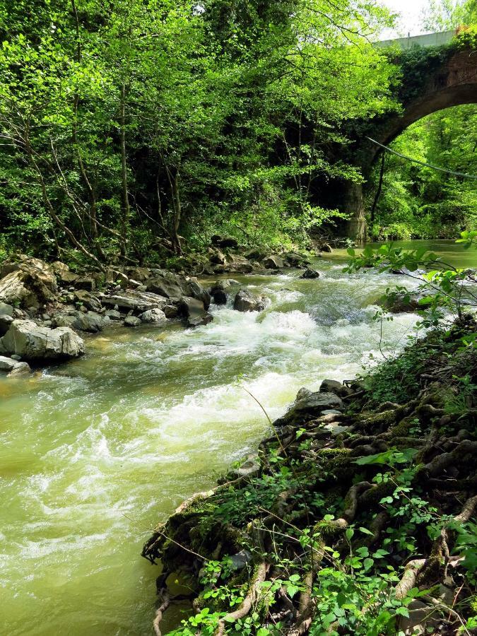 Andante Appartamenti Castelnuovo di Val di Cecina Exteriör bild