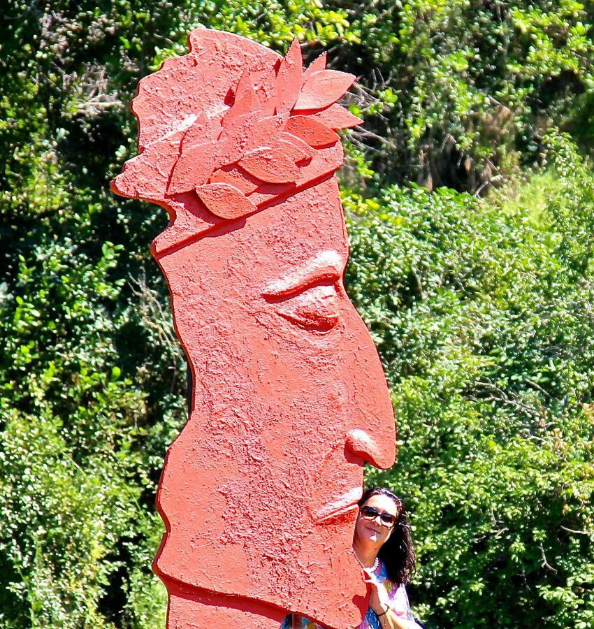 Andante Appartamenti Castelnuovo di Val di Cecina Exteriör bild