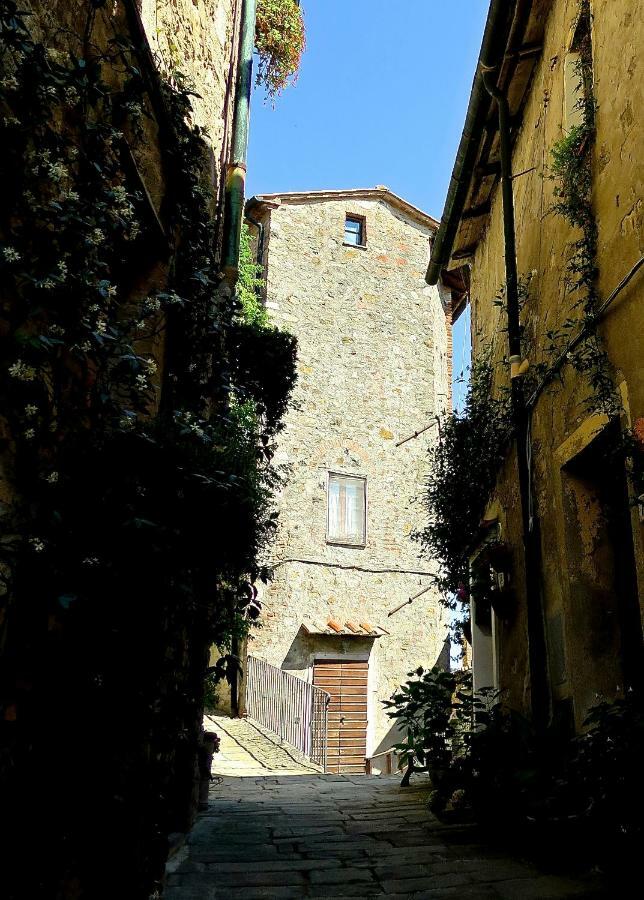 Andante Appartamenti Castelnuovo di Val di Cecina Exteriör bild